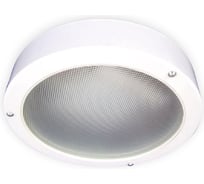 Настенно-потолочный светильник ЭЛЕТЕХ СПЕЦСВЕТ 02-009-101 172 АС36В ЖКХ 1030450172