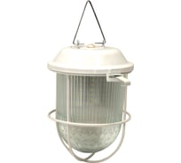 Светодиодный светильник с решеткой ЭЛЕТЕХ Желудь А СПЕЦСВЕТ 03-015-101 455 1030450455