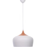 Светильник полусфера osterrig 60Вт OS-60G D300мм 51178