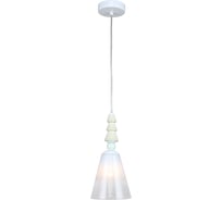 Светильник подвесной (подвес) Rivoli Cataleya 4146201 1 х Е27 60 Вт дизайн Б0066498