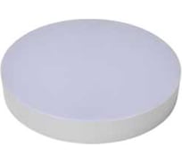 Светильник светодиодный накладной truEnergy круг 8W 4000K 560Lm D101мм IP20 белый/пластик 11150
