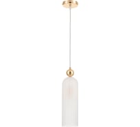 Светильник подвесной (подвес) Rivoli Diandra 4122201 1 Е14x40 Вт дизайн Б0066419