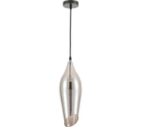 Светильник подвесной (подвес) Rivoli Felicia 4128201 1 х Е27 60 Вт дизайн Б0066484