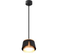 Подвесной светильник ARTE LAMP AMAKS A8028SP-1BK
