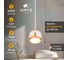 Подвесной светильник ARTE LAMP AMAKS A8028SP-1WH 3
