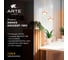 Подвесной светильник ARTE LAMP AMAKS A8028SP-1WH 4