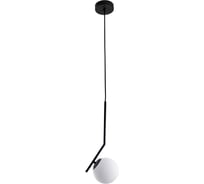 Подвесной светильник ARTE LAMP BOLLA-UNICA A1924SP-1BK