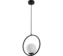 Подвесной светильник ARTE LAMP MATISSE A7741SP-1BK
