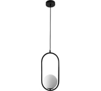 Подвесной светильник ARTE LAMP MATISSE A7745SP-1BK