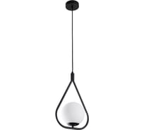 Подвесной светильник ARTE LAMP MATISSE A7764SP-1BK
