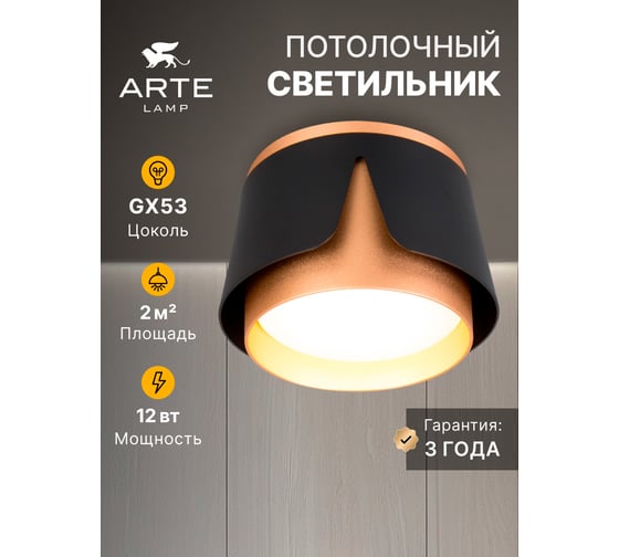 Потолочный светильник ARTE LAMP AMAKS A8028PL-1BK
