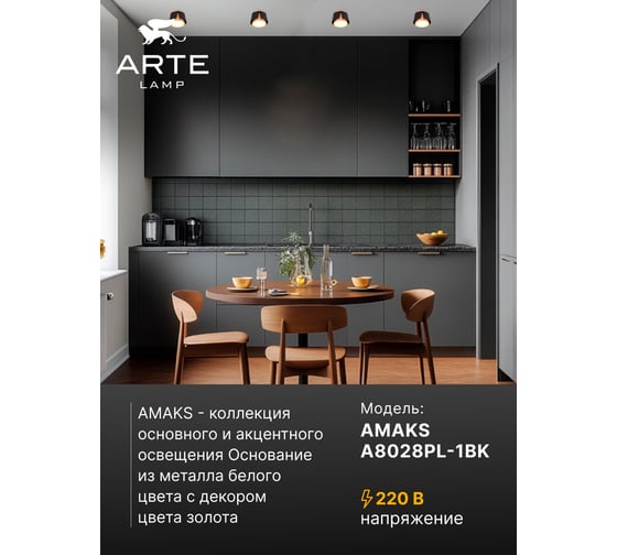 Потолочный светильник ARTE LAMP AMAKS A8028PL-1BK