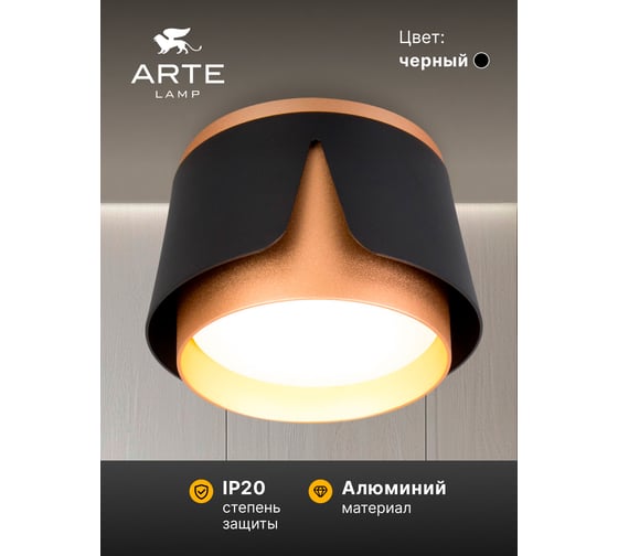 Потолочный светильник ARTE LAMP AMAKS A8028PL-1BK