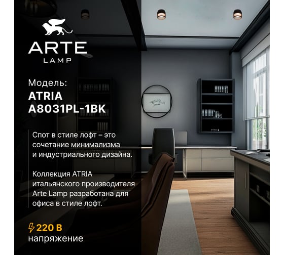 Потолочный светильник ARTE LAMP ATRIA A8031PL-1BK