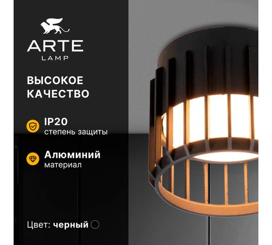 Потолочный светильник ARTE LAMP ATRIA A8031PL-1BK
