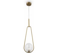 Подвесной светильник Freya, Bumble FR5144PL-01TR