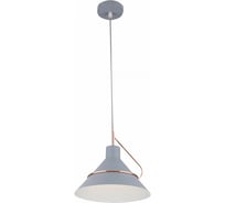 Подвесной светильник Freya, Amis FR5025PL-01GR