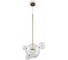 Подвесной светильник Freya, Amoris FR5128PL-L10BS 1