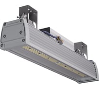 Светильник светодиодный TRANSCOM ДиУС ПРОМ-80 Т-28-П-80-Д-КП-65