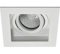 Поворотный встраиваемый точечный светильник AM Group AM165 WH