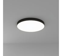 Потолочный светильник ARTE LAMP FADO A6699PL-1BK
