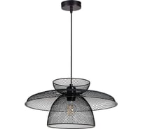 Подвесной светильник ARTE LAMP CASTELLO A7067SP-1BK