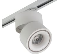 Трековый однофазный светильник AM Group AM160T WH