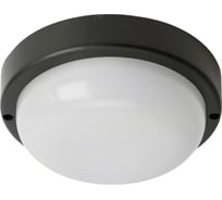 Светильник светодиодный пылевлагозащищенный FERON AL3005 в пластиковом корпусе 12W 4000K 220V IP65 черный, 51469