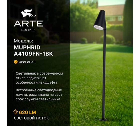 Грунтовый светильник ARTE LAMP MUPHRID A4109FN-1BK