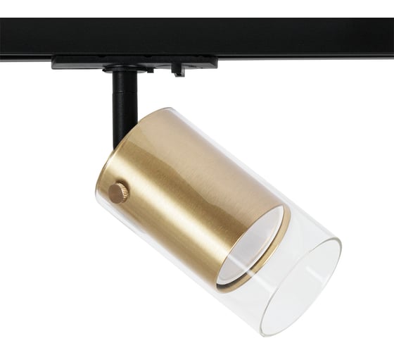 Трековый светильник ARTE LAMP LAZIO A5368PL-1SG