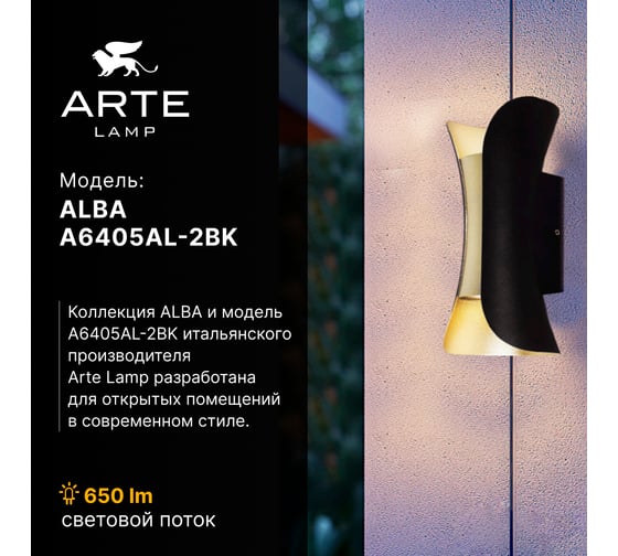 Фасадный светильник ARTE LAMP ALBA A6405AL-2BK