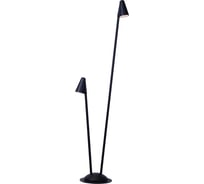 Ландшафтный светильник ARTE LAMP MUPHRID A4109PA-2BK