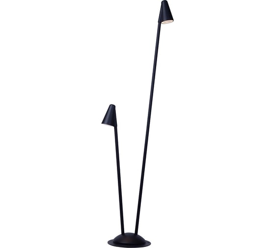 Ландшафтный светильник ARTE LAMP MUPHRID A4109PA-2BK 1