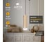 Точечный подвесной светильник ARTE LAMP LAZIO A5367SP-1SG 3