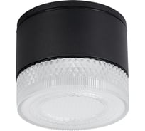 Уличный потолочный светильник ARTE LAMP PIAUTOS A1926PF-1BK