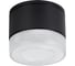 Уличный потолочный светильник ARTE LAMP PIAUTOS A1926PF-1BK 1