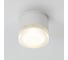Уличный потолочный светильник ARTE LAMP PIAUTOS A1926PF-1WH 2