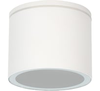 Уличный потолочный светильник ARTE LAMP PIAUTOS A1913PF-1WH