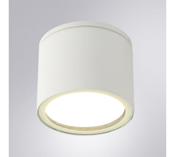 Уличный потолочный светильник ARTE LAMP PIAUTOS A1913PF-1WH