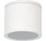 Уличный потолочный светильник ARTE LAMP PIAUTOS A1913PF-1WH 1