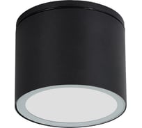 Уличный потолочный светильник ARTE LAMP PIAUTOS A1913PF-1BK