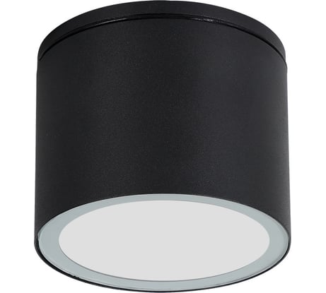 Уличный потолочный светильник ARTE LAMP PIAUTOS A1913PF-1BK