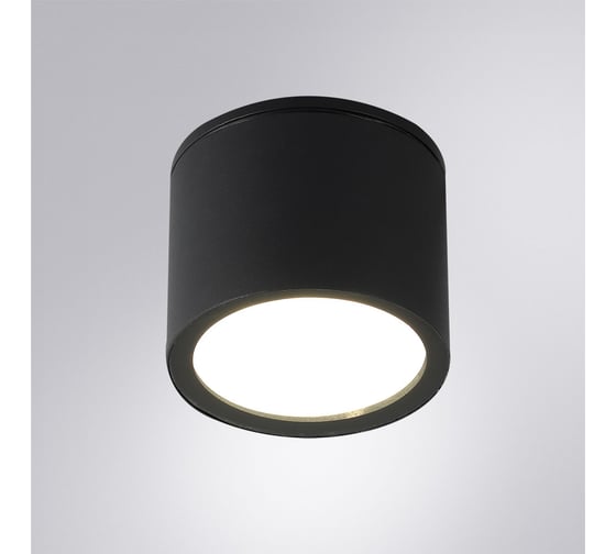 Уличный потолочный светильник ARTE LAMP PIAUTOS A1913PF-1BK