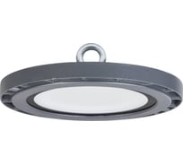 Светильник IEK LED ДСП 5010 60Вт 6500К IP65 алюминий LDSP0-5010-060-65-K23