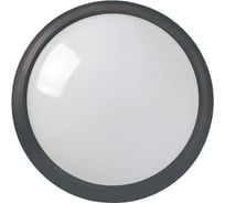 Светильник IEK LED ДПО 5031 12Вт 4000K IP65 круг черный LDPO0-5031-12-4000-K02