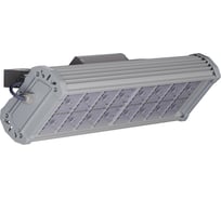 Светильник светодиодный TRANSCOM ДиУС А ПРОМ-100 ОПТИК Г55 Т-38-П-100-Г-КП-65