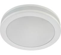 Встраиваемый светильник с боковой подсветкой AM Group AM296 12W WH 3000K R