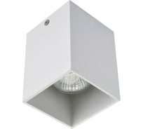Потолочный накладной светильник AM Group белый AM01-110 WH