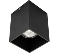 Потолочный накладной светильник AM Group черный AM01-110 BK