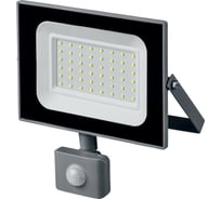 Светодиодный прожектор STAYER LED-Max с датчиком движения 57133-50